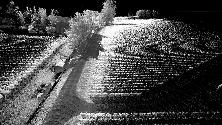 lidar-ouster-point-cloud